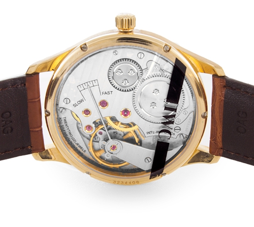 IWC Portuguese Manual IW544402 - gallery