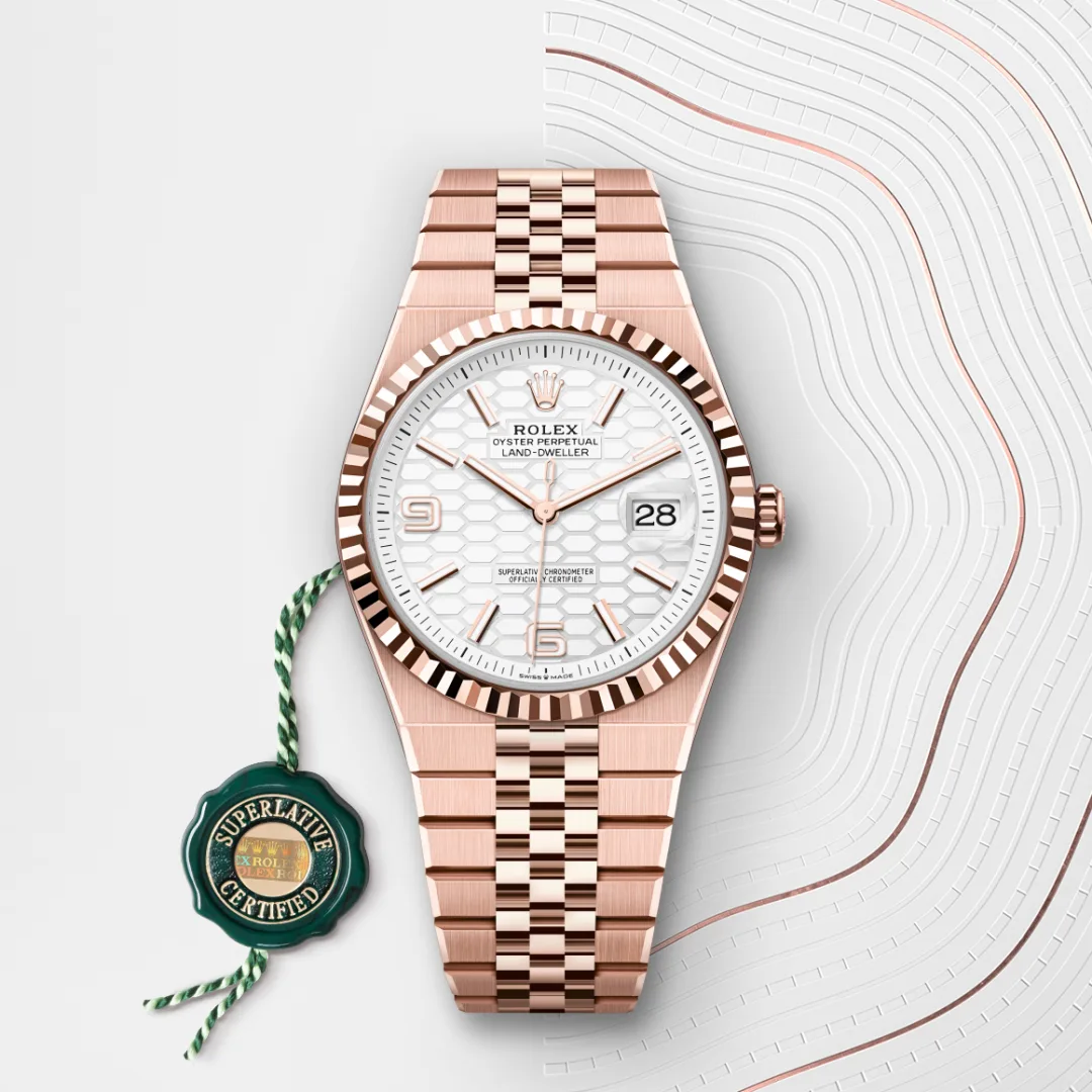 Rolex Land-Dweller 40 Intense White - gallery